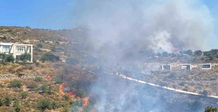 Bodrum'da makilik alanda yangın çıktı
