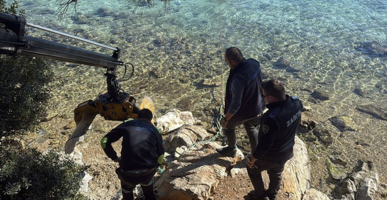 Bodrum'da Ölü Caretta Caretta Bulundu