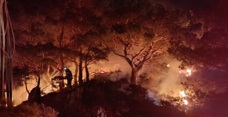 Bodrum'da Orman Yangını Kontrol Altına Alındı