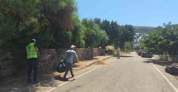 Bodrum'da ot temizliği çalışmaları Haziran ayı boyunca devam etti