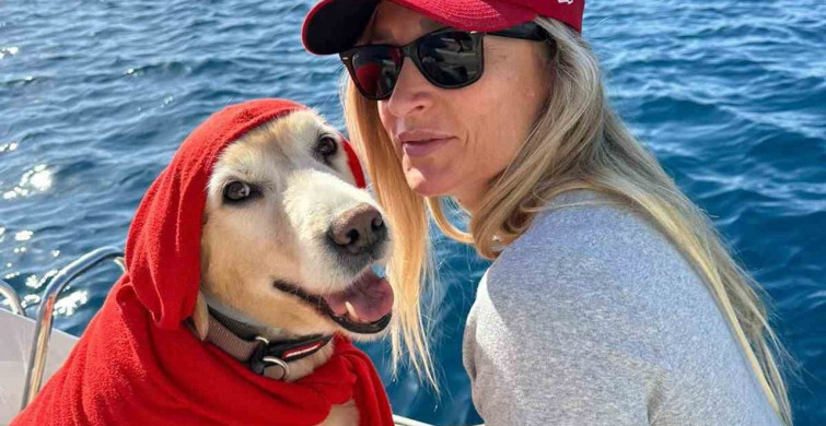 Bodrum'daki Köpek Ölümüne İlişkin Dava Sonuçlandı