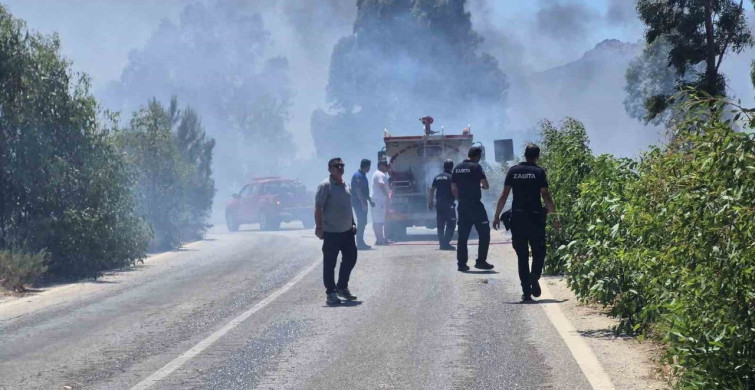 Bodrum'daki şantiyede yangın makilik alana sıçradı