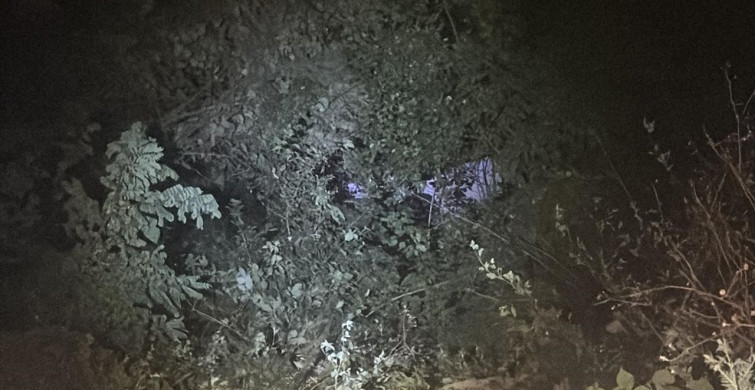 Bolu Dağı'nda Park Halindeki Kamyonetin Uçuruma Yuvarlanması