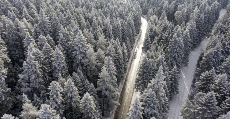 Bolu, Düzce ve Karabük'te Bembeyaz Kış Manzaraları