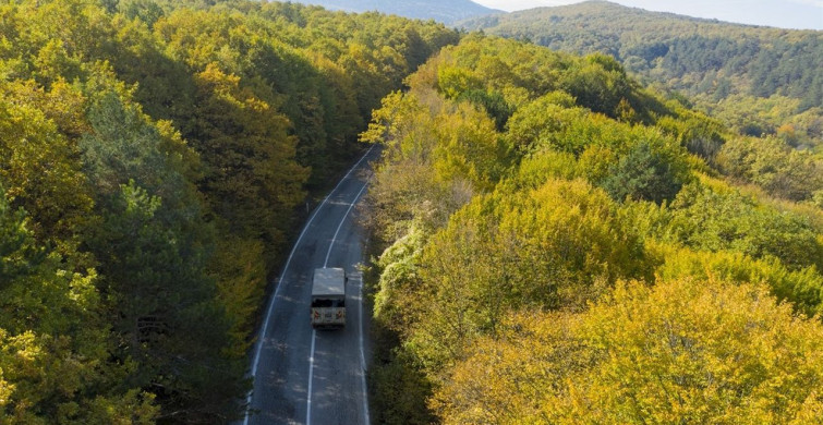 Bolu Ormanları Sonbaharın Güzellikleriyle Dolu