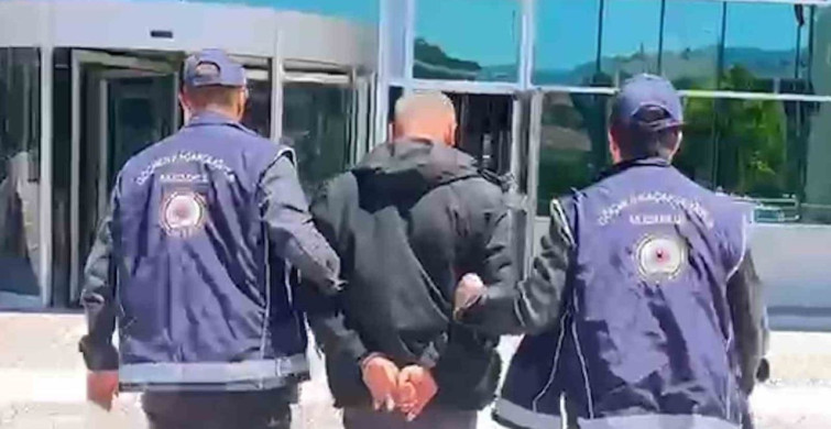 Bolu'da 10 Düzensiz Göçmen Yakalandı, Sürücü Tutuklandı
