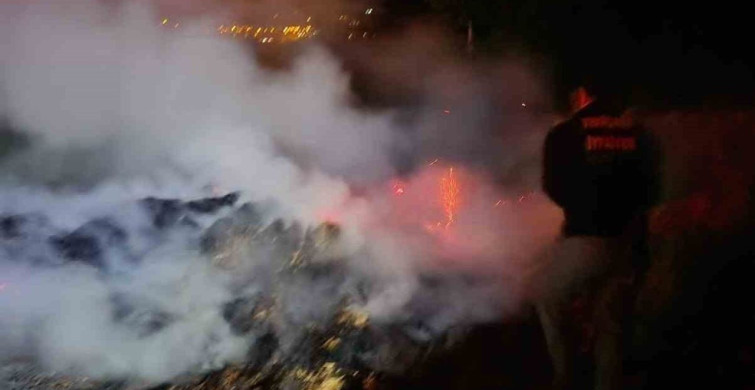 Bolu'da Anız Yangını Kontrol Altına Alındı