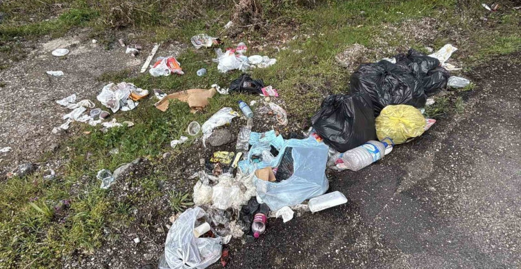 Bolu'da Çevre Bilinci İhlali: 'Çöp Atmayın' Tabelasının Yanı Çöple Dolduruldu