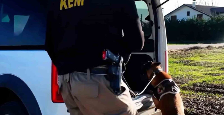 Bolu'da Haftalık Operasyonlar: 160 Gözaltı