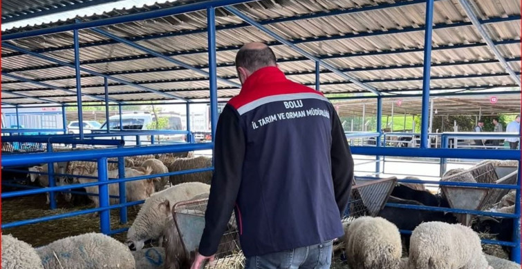 Bolu'da Kurban Pazarlarına Denetim Uygulandı