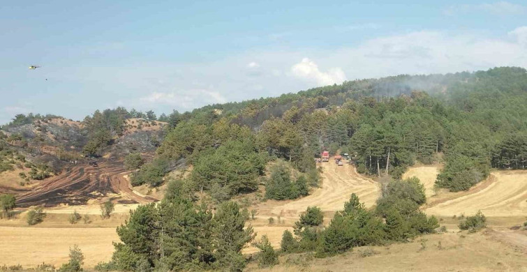 Bolu’da ormanlık alanlara giriş 30 Eylül’e kadar yasaklandı