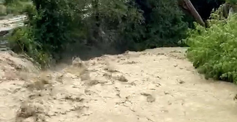 Bolu'da Şiddetli Yağışlar Tarım Arazilerini Vurdu