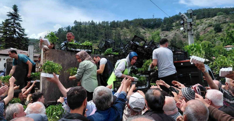 Bolu’da Ücretsiz Fide Dağıtımına Büyük İlgi