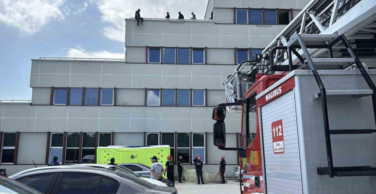 Bolu'da yasadışı salep toplama cezasına isyan eden kişi çatıya çıktı