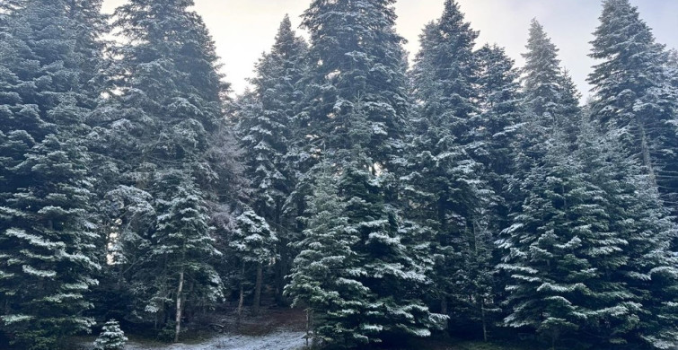 Bolu'nun Yüksek Kesimlerine Kar Yağışı
