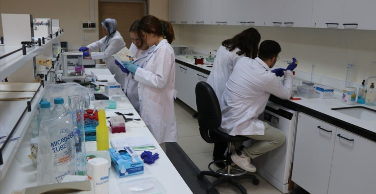 Bor Mineralli Ürün ile Eklem Hastalıklarına Yeni Çözüm