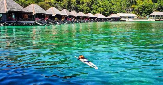 Borneo Turu