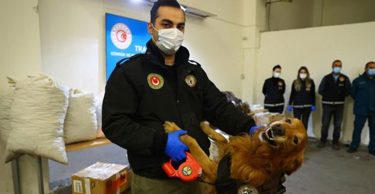 ''Boş'' Denilen Tırdan Çıkanlar Görenleri Şaşırttı