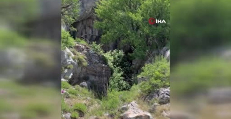 Bosna Hersek'te II. Dünya Savaşı'na Ait 730'da Fazla Mühimmat Keşfedildi