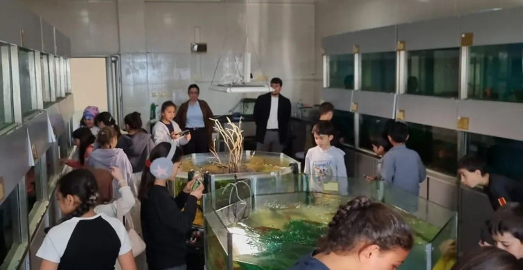 Boyabatlı Öğrenciler Sinop'un Zenginliklerini Keşfettiler