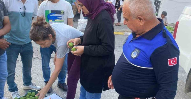 Bozdoğan'da hastalıklı ilekler imha edildi