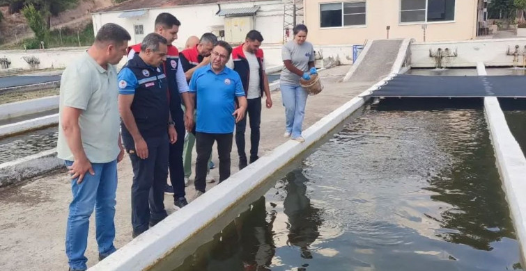 Bozdoğan'da su ürünleri üretimi 3 bin 696 tona ulaştı