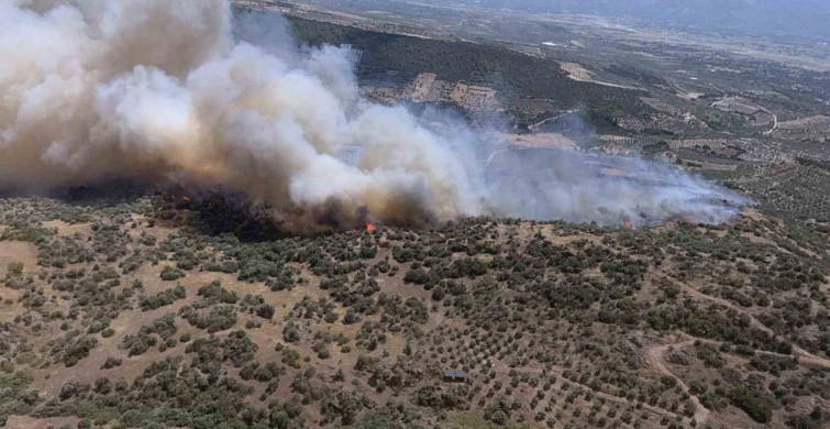 Bozdoğan'da ziraat alanında yangın başladı
