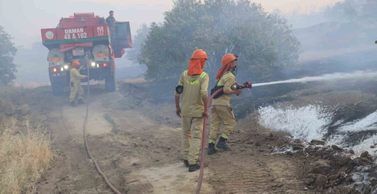 Bozdoğan’daki yangında söndürme çalışmaları 7. saate ulaştı