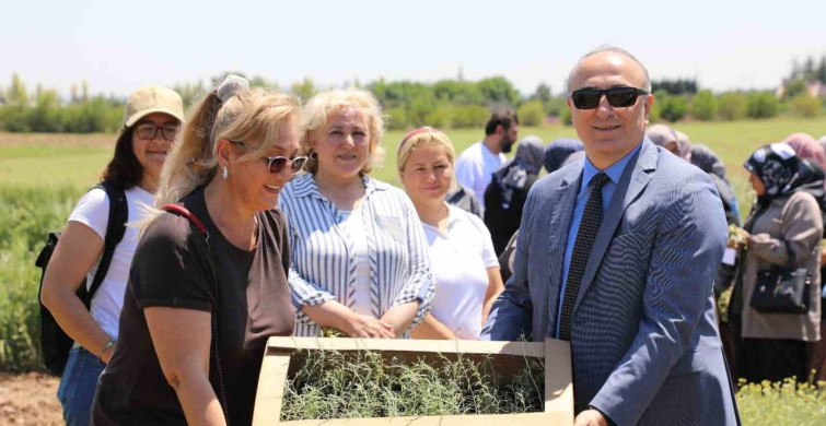 Bozkırların Altın Otu Hasadı: Kadın Çiftçiler Destekleniyor