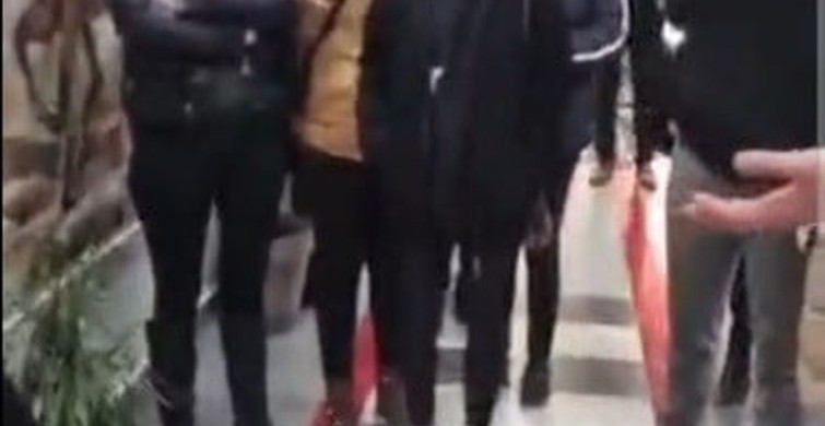 Bozüyük'te Hayvan Barınağındaki Skandal Görüntüler Tepki Çekti