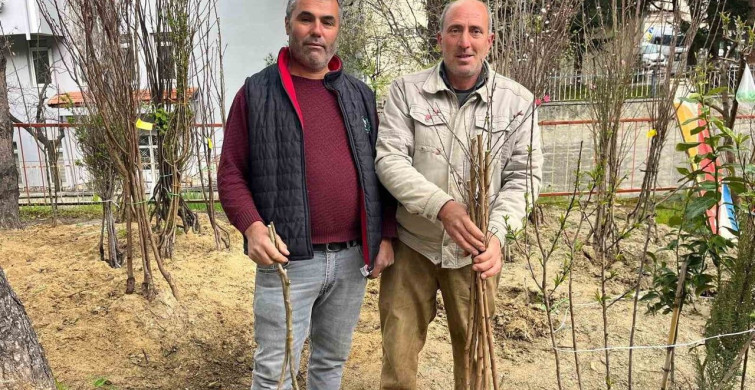Buldan'da Fidan Dikim Sezonu Başladı