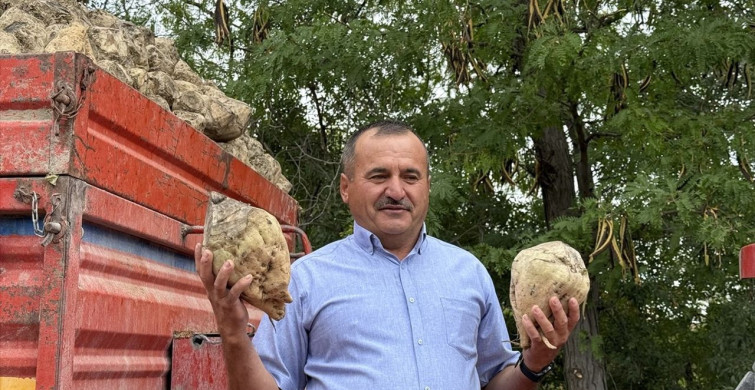 Burdur Şeker Fabrikası 2025-2026 Döneminde 75 Bin Ton Kristal Şeker Üretecek