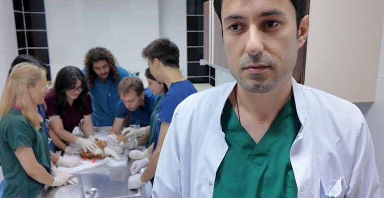 Burdur'da ampute kediye 3 boyutlu protez uygulandı