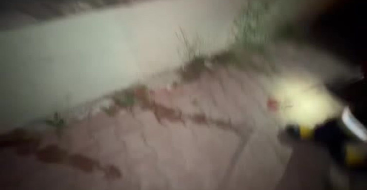 Burdur'da cami yanında yakalanan yılan doğal yaşam alanına salındı