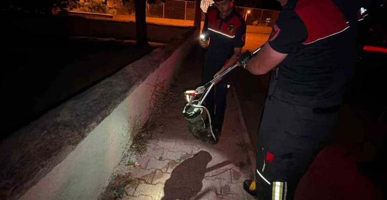 Burdur'da caminin yanında bulunan yılan doğal yaşam alanına salındı