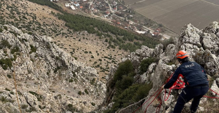 Burdur'da Dağda Mahsur Kalan Keçi AFAD Tarafından Kurtarıldı