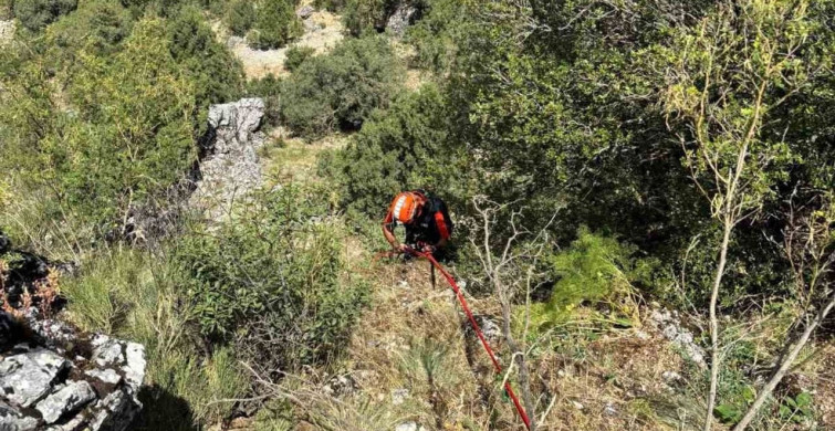 Burdur'da dağda mahsur kalan keçiler kurtarıldı