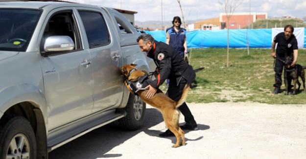 Burdur'da Narkotik Operasyon!