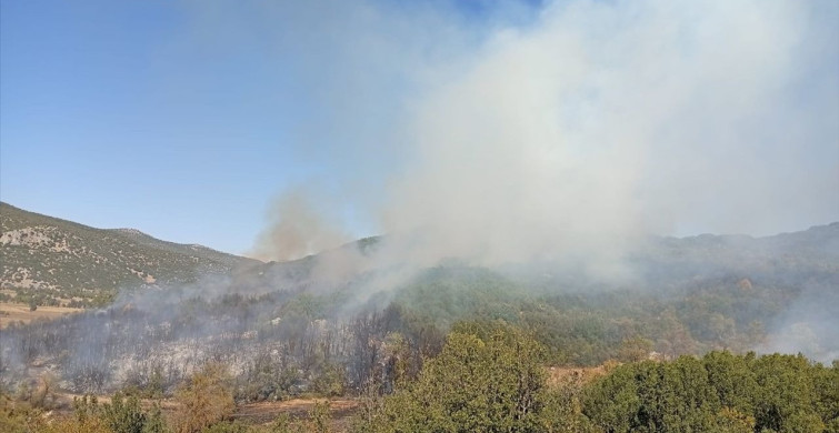 Burdur'da Orman Yangını Kontrol Altına Alındı