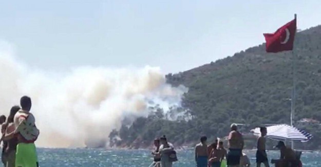 Burgazada'da Ormanlık Alanda Yangın 