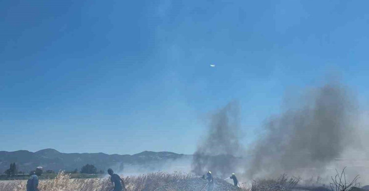 Burhaniye'de işletme bahçesindeki yangın itfaiye ekiplerince söndürüldü