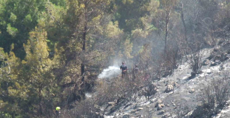 Burhaniye’deki orman yangınında yaklaşık 10 dekar alan zarar gördü