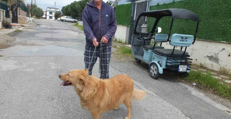 Burhaniyeli Emlakçının Hayvan Sevgisi Büyülüyor