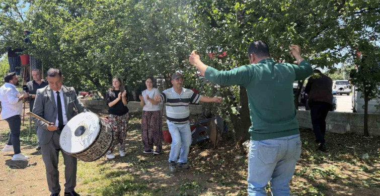 Bursa İznik'te Davullu Zurnalı Erik Hasadı Başladı