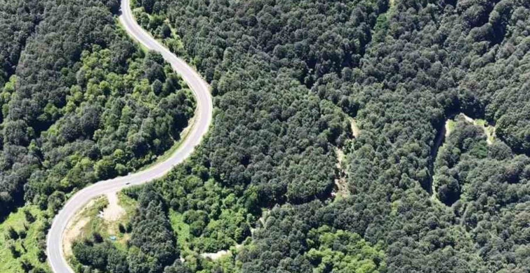 Bursa ormanlarında kartpostallık görüntüler