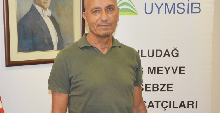 Bursa Siyah İnciri İhracatında Ciddi Sorunlar Yaşanıyor