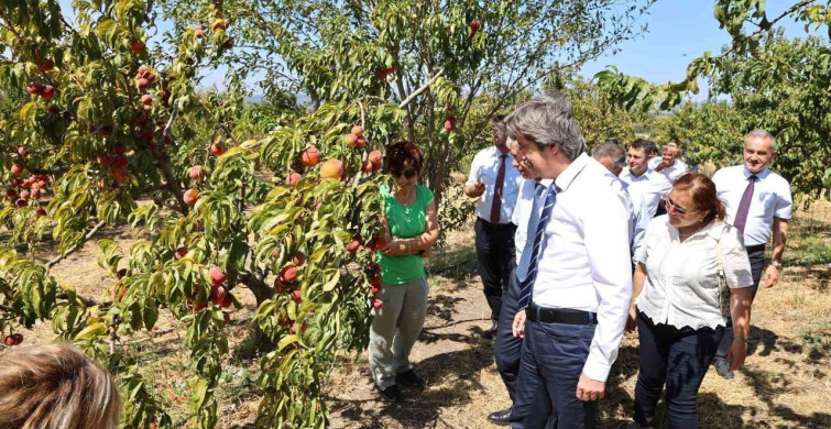 Bursa Uludağ Üniversitesi, Ziraat ve Ormancılıkta Küresel Başarı Elde Etti