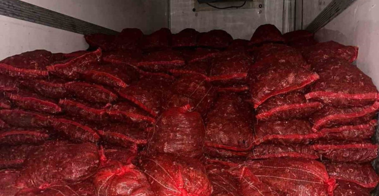 Bursa ve Balıkesir'de Kaçak Midye Operasyonu