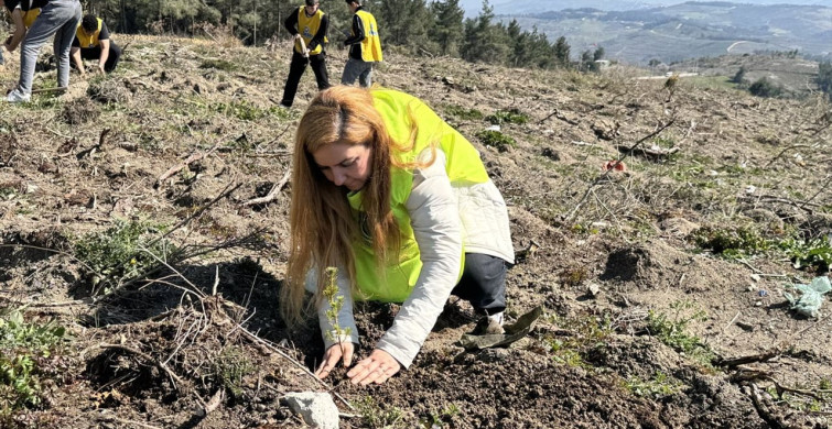Bursa'da 10 Bin Fidan Toprakla Buluştu