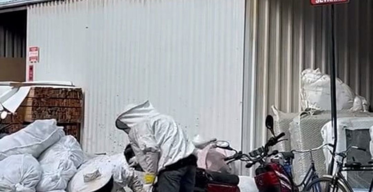 Bursa'da arılar park halindeki motosiklette oğul verdi